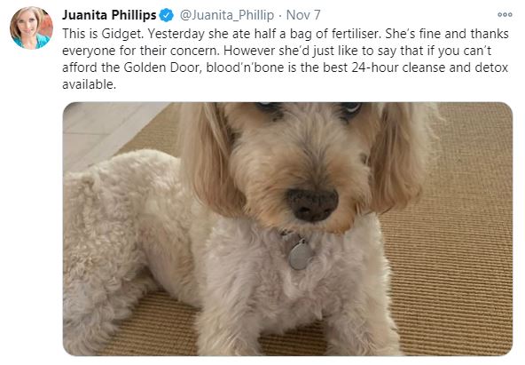 37) Another pooch-themed tweet, this time from a high profile employee of  #FakeNewsHQAU. Juanita's furbaby Gidget ate fertilizer. Plausible since dogs often do this. Still, timing and reference to Golden Door (elite spa) and blood and bone intriguing ...