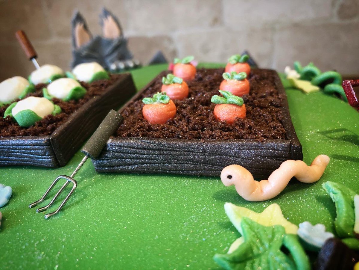 JenWaters25's tweet photo. What better theme to go with for my very talented sister’s bday cake this year than a scene from her first illustrated children’s book, a spin on the Three Little Pigs story! Happy Birthday @ctfrankcom. I hope you enjoyed the cake as much as we’re all enjoying your fab stories💕 https://t.co/0xlz5001I6