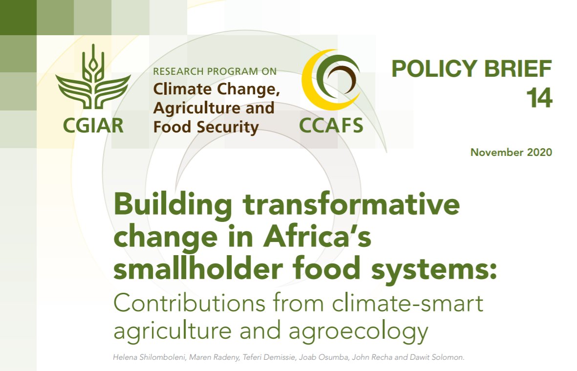 How can climate-smart agriculture and agroecology transform Africa's smallholder food systems? Find out in our brand new policy brief! 👉🏾 hdl.handle.net/10568/110081