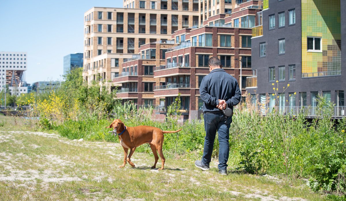 Hello Zuidas tweet media