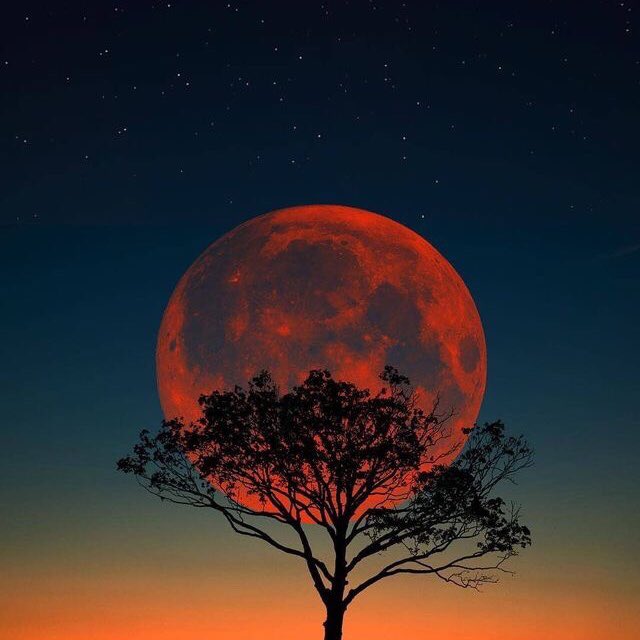 he is absolutely breathtaking