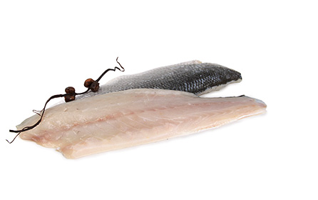 Veltman Vis Service tweet media