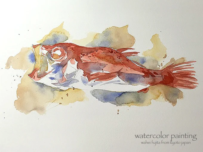 5/9。濃淡を付けて行きます。ここまで3分程度です。 #Watercolor #スケッチ #水彩画 #淡彩略画 #動物画 #風景画 #透明水彩 #京都水彩画塾 #淡彩略画  #水彩画ワークショップ  #藤田わへい  #京都の絵画教室 