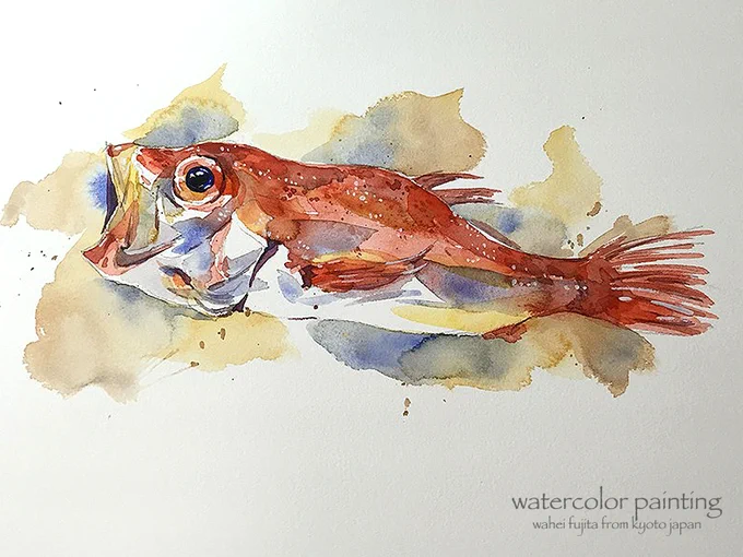 7/9。目を描きます。その他テクスチャーもね^ ^あまり描き込み過ぎると重くなります。 #Watercolor #スケッチ #水彩画 #淡彩略画 #動物画 #風景画 #透明水彩 #京都水彩画塾 #淡彩略画  #水彩画ワークショップ  #藤田わへい  #京都の絵画教室 