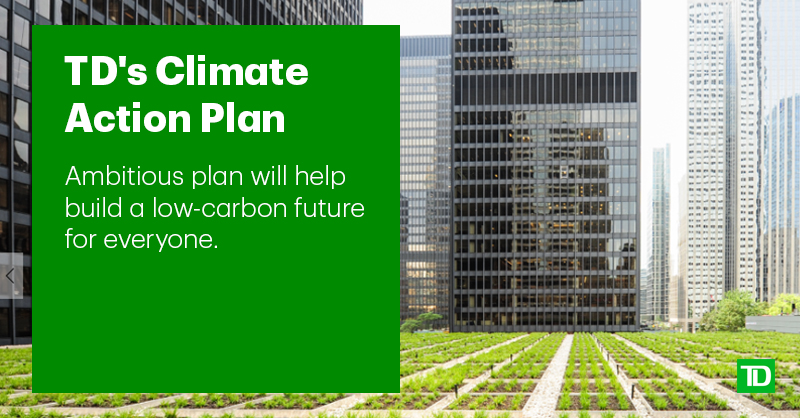 TD announced an ambitious Climate Action Plan. Learn more about TD's target to achieve net-zero GHG emissions associated with its operations and financing activities by 2050 and additional new actions to create and maintain long-term sustainable growth: go.td.com/36gvieh