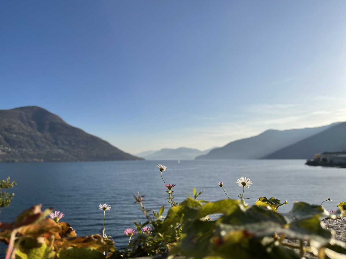 RafaelZeier's tweet photo. #ShotOniPhone12ProMax

Ja, die neue iPhone-Kamera gefällt sehr. Baue den Artikel nun vorzu aus:

https://t.co/XjTukkfVIo https://t.co/MUF9Rat9m9