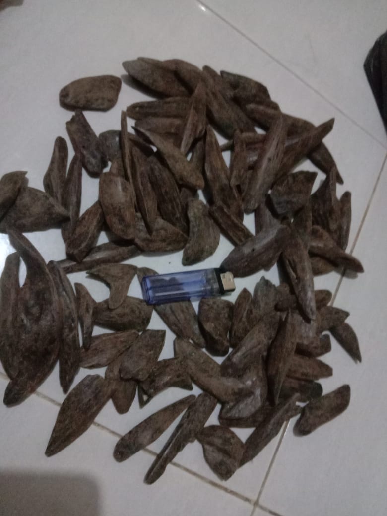 #ماليزيا #دهن_عود #خشب_عود #السوق_السعودي #السعودي_اماراتي_والاماراتي_سعودي #السعودية_للسعوديين #السعودية_العظمى #السعودية_للتموين #الامارات_اليوم #قطر2022 #قطر عود مملكي سعر الكيلو ١٨٠٠ ريال سعودي شامل الشحن = ٤٥٠دولار امريكي