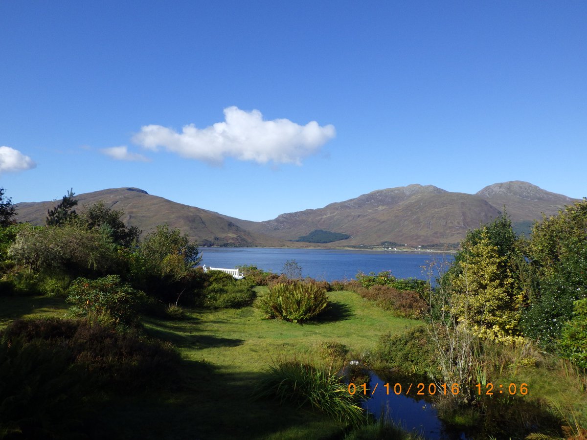 Christopher Main tweet media