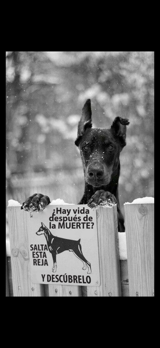 Una mirada significa más que mil palabras.