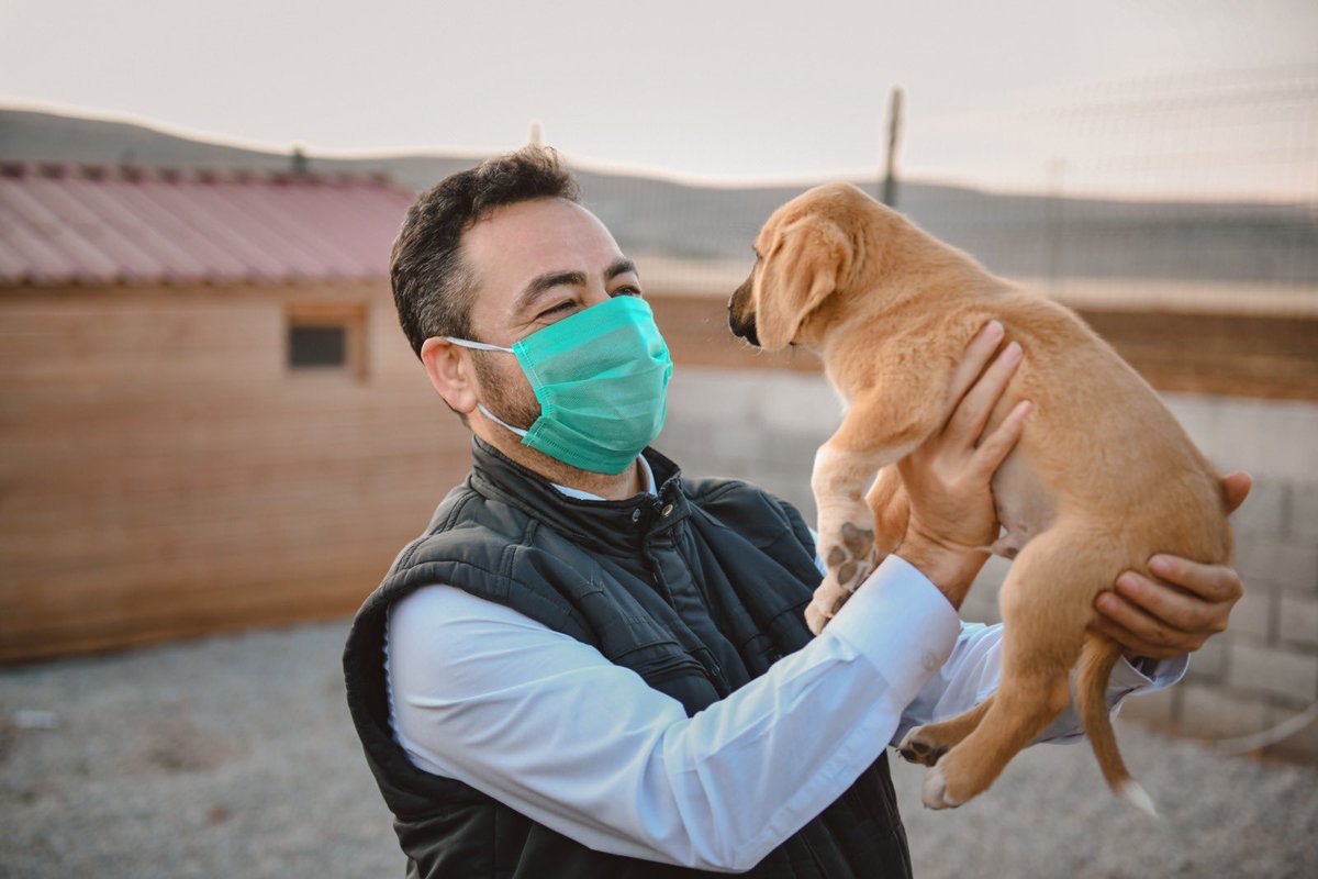 MehmetGurbuzOrg's tweet image. 👉 Barınaktaki çalışmalarımızı, Hayvanları Koruma Derneğimizle birlikte ziyaret ettik.

Hem Bize Allah'ın emaneti olan canlarımıza sahip çıkacağız hem de hayvansever vatandaşlarımıza çocukları ile birlikte gezebilecekleri güzel bir sosyal yaşam alanı kazandıracağız. 🐕 🐈