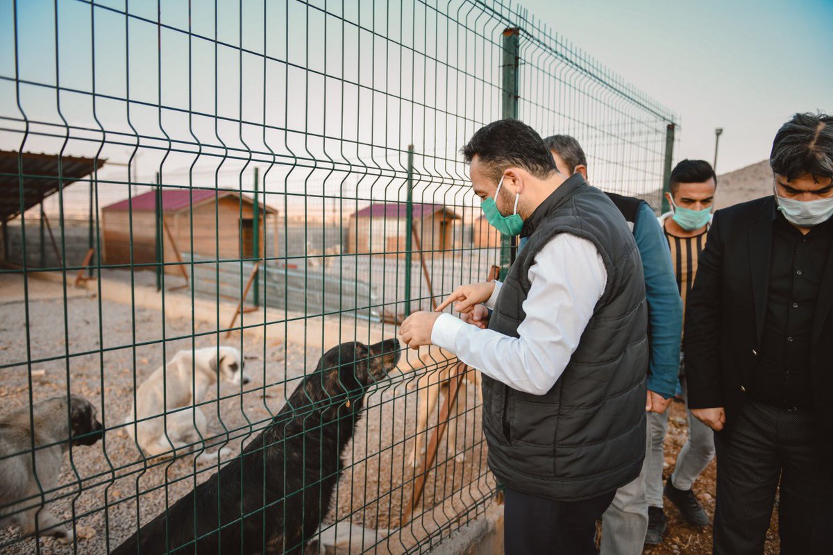 MehmetGurbuzOrg's tweet image. 👉 Barınaktaki çalışmalarımızı, Hayvanları Koruma Derneğimizle birlikte ziyaret ettik.

Hem Bize Allah'ın emaneti olan canlarımıza sahip çıkacağız hem de hayvansever vatandaşlarımıza çocukları ile birlikte gezebilecekleri güzel bir sosyal yaşam alanı kazandıracağız. 🐕 🐈