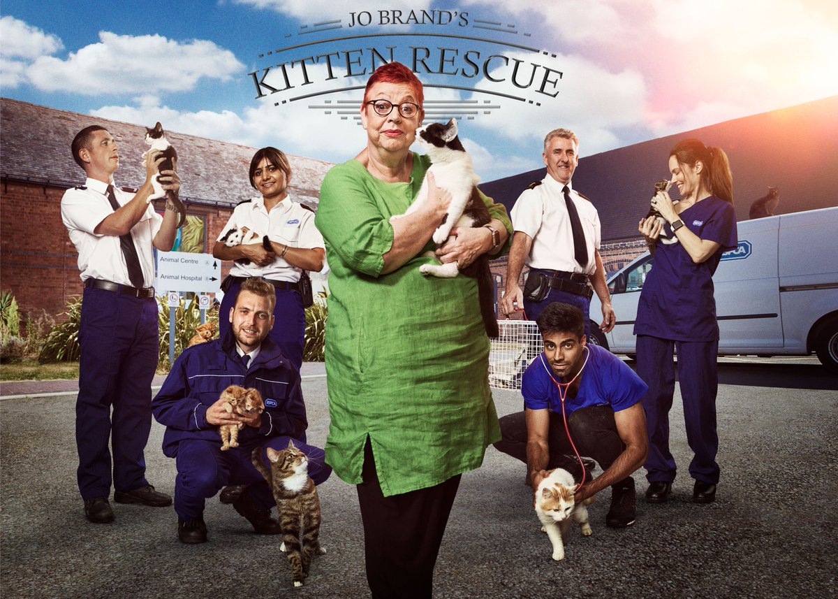 Kitten Rescue tweet media