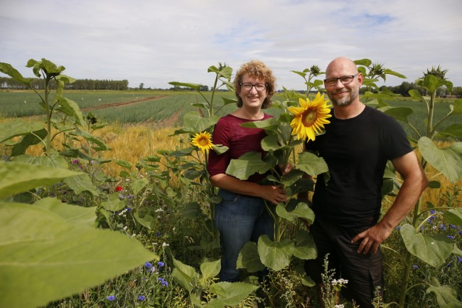 Geld verdienen met agrarisch natuurbeheer; het kan wél! Drie agrarisch ondernemers uit Wijhe vertellen over de waarde van Courage-project LandvanWaarde voor hen. Lees het artikel: courage2025.nl/inspiratie/nie…
#agrarischnatuurbeheer @landvanwaarde