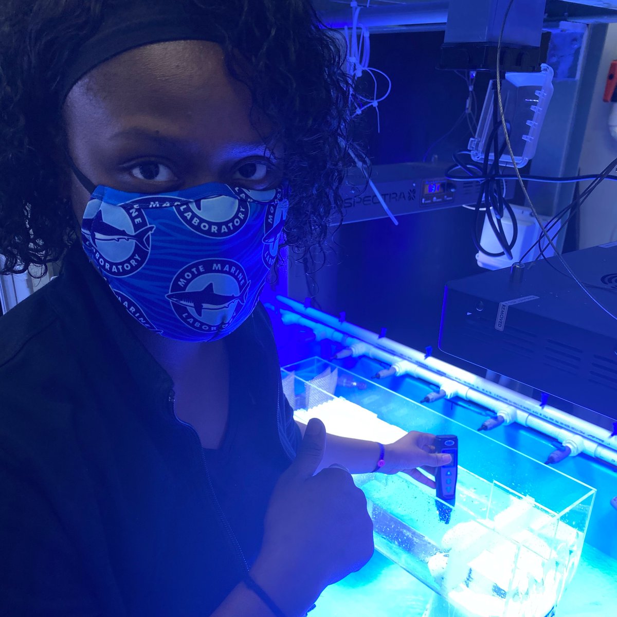 MarSci_LACE's tweet photo. It's National STEM/STEAM Day! MarSci-LACE is a proud member of NSF INCLUDES which aims to increase networking and collaboration between organizations improving diversity and inclusion in STEM!
Join the Network! https://t.co/DNSjAPgcdH
#STEAMSTEMDay #NSFINCLUDES @NSFINCLUDESHub https://t.co/8RqjmCp5A3