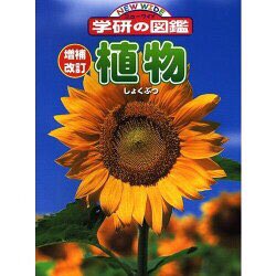 masakoppe's tweet photo. ttps://kikisrandomthoughs.blog.fc2.com/blog-entry-533.html https://t.co/v4hUXg5gwR