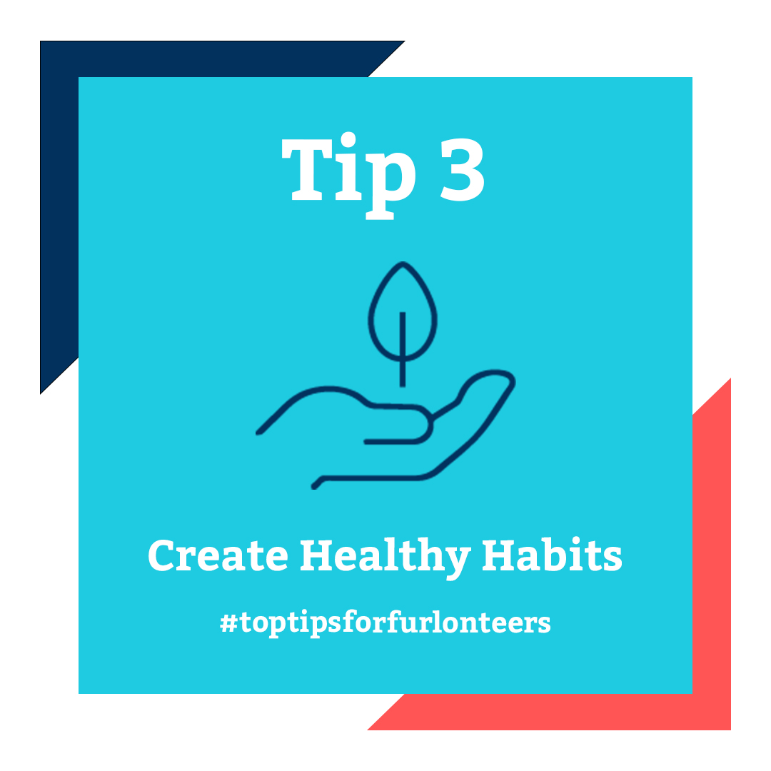 A good structure hugely helps productivity. Get up early on the days when you’re Furlonteering and enjoy a warming coffee, set up a comfortable workstation and remember to take regular breaks; you don’t have to be glued to a desk (or sofa)!

#toptipsforfurlonteers #furloughlife