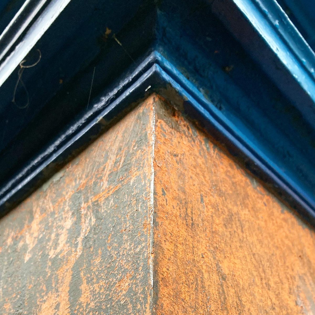 policeboxproj's tweet photo. Thanks to @edintoollibrary for lending us their chisel sharpener. Made scraping paint this weekend at lot easier. Manually scraping paint is slow progress though. We’ve got our eyes on your cordless angle grinder once it’s repaired and available again #sharpesttoolintheshed https://t.co/lP5WTdESAZ