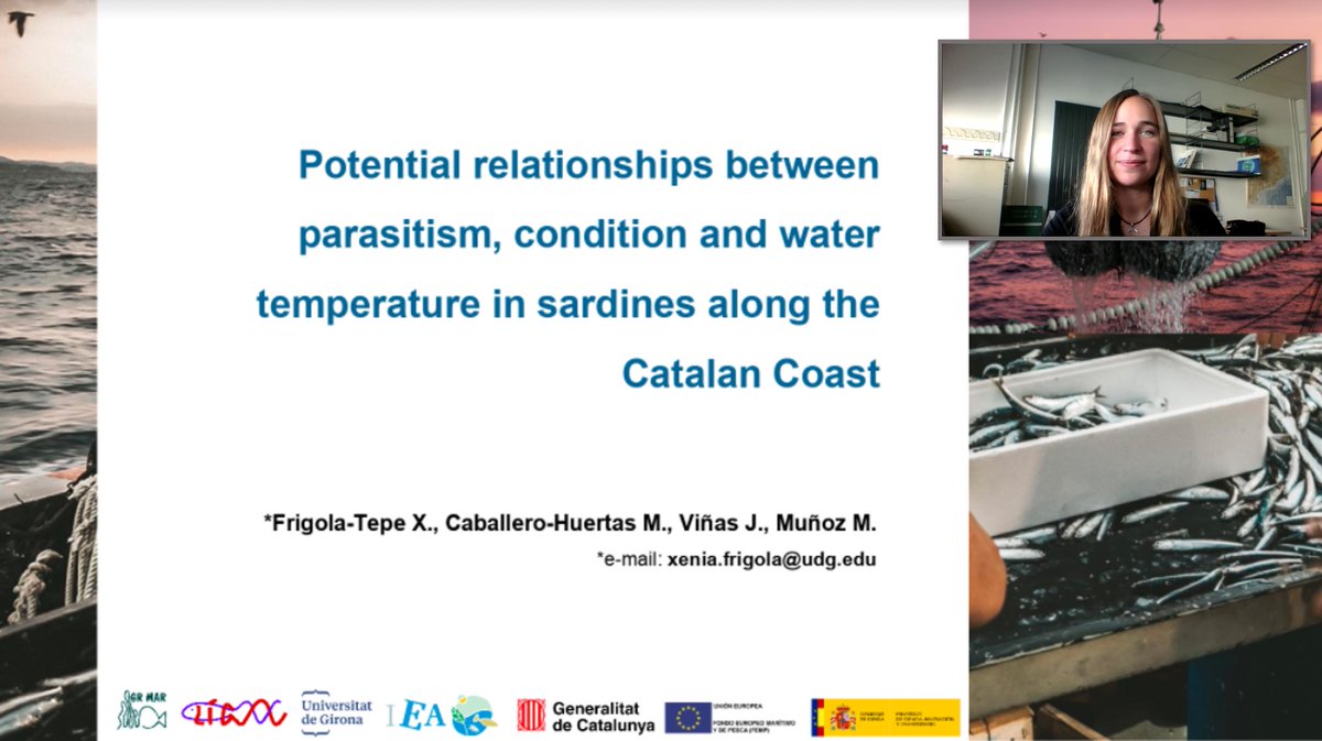 Today we presented two oral presentations at the Webinar on Environmental and Climate change (Nov 9-10) organized by Coalesce Research Group🐟@LIG_UdG @univgirona @IEA_UdG #GRMAR #Sardine #MediterraneanSea #Marineenvironment #CoalesceResearchGroup @martanyos @jordi_vinas