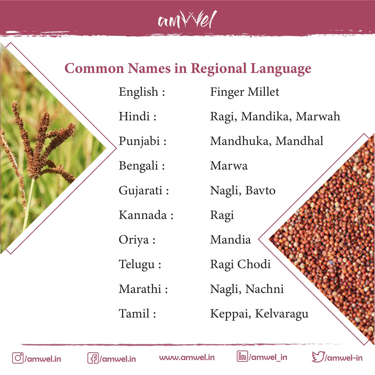 amwel_in's tweet photo. Ragi is the richest source of calcium among plant foods. Calcium along with vitamin D help strengthen bones

#health #fitness #healthylifestyle #motivation #wellness #healthy #love #workout #lifestyle #gym #fit #training  #life #instagood #nutrition #covid #exercise  #weightloss https://t.co/zuG9KZacPh