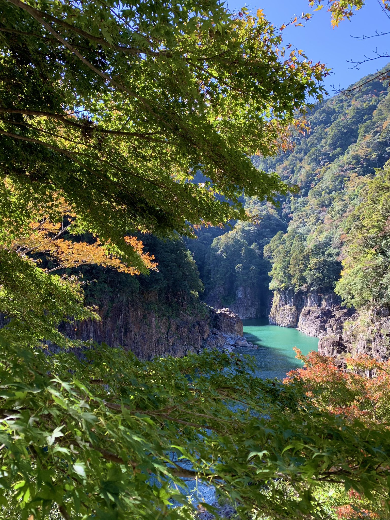 一般財団法人 熊野市ふるさと振興公社 瀞峡の紅葉 をチェックしに行って来ました もみじは青いです 記録写真 T Co Tno95eslc8 Twitter