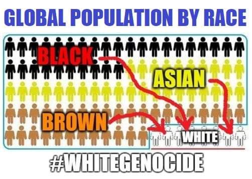 Emily77843867's tweet photo. If you flood all white majority countries with nonwhites you eliminate white children for ever.  #AssassinsCreed #AssassinsCreedValhalla #assassinscreed3 #auspol #trump #quieneslamascara #SBS #4corners #thedrum #qanda #diversity #multiculturalism https://t.co/mzPSIVHxGZ
