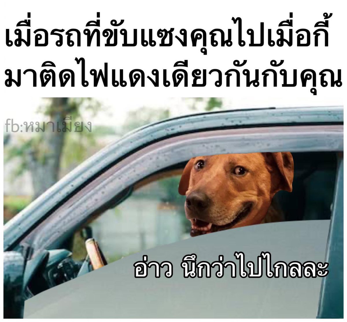 itampp's tweet photo. เวงเน้ย55555555555555555555555555555555555555555555555555555555555555555 https://t.co/Kv5YHYTCDC