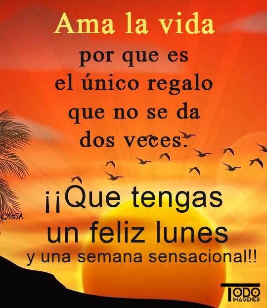 Feliz inicio de semana 🌝🌾🐌