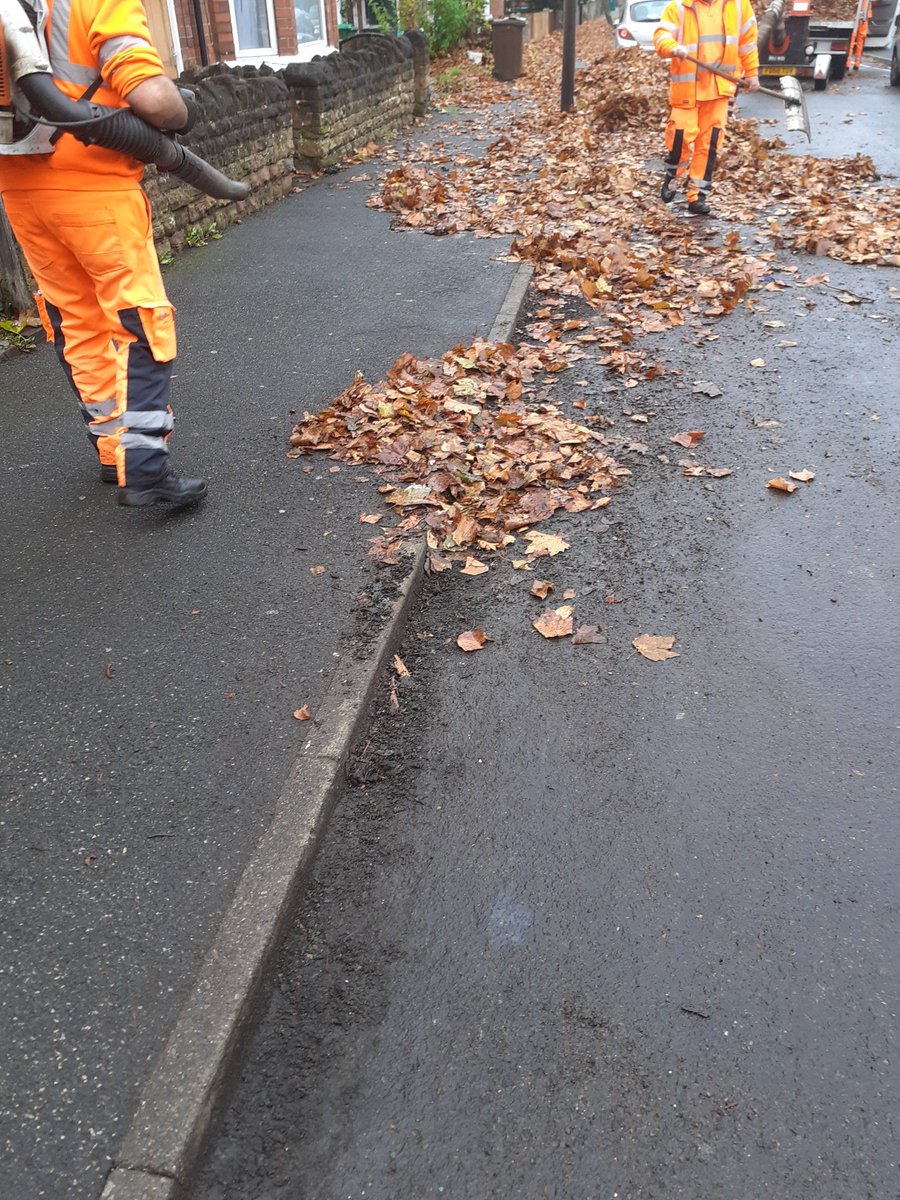 MeadowsPublicRealm tweet media