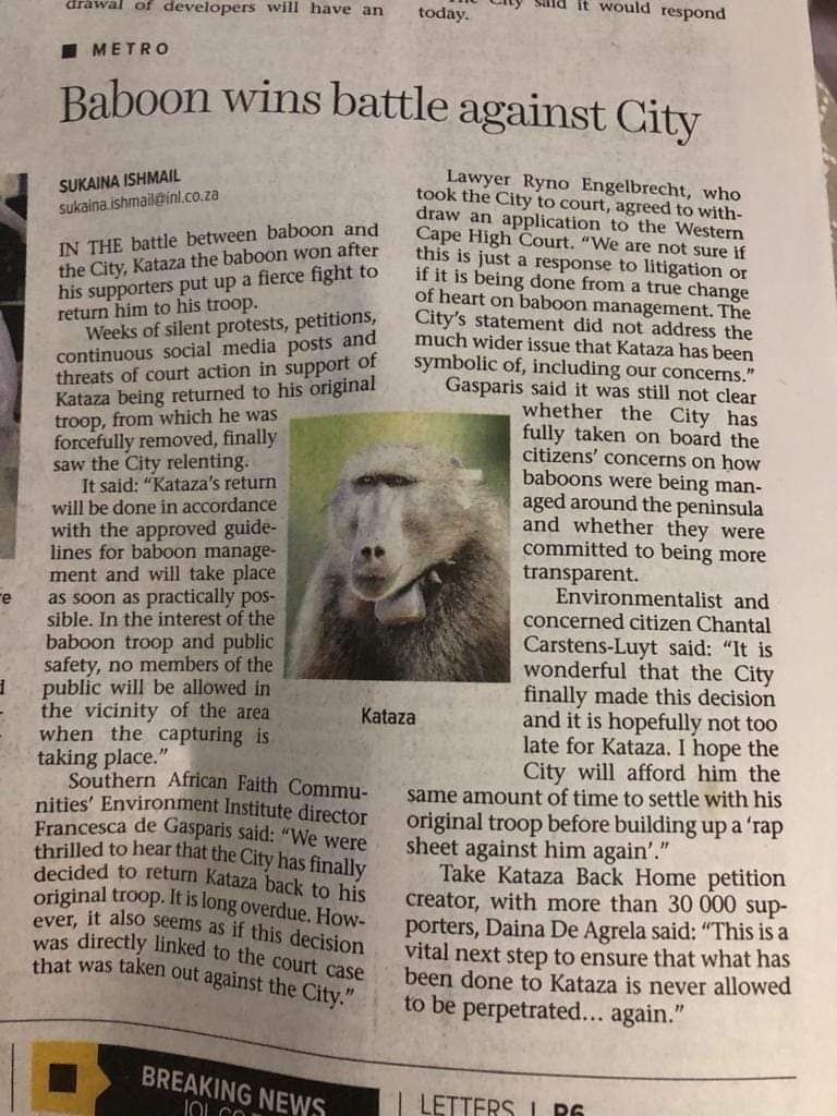 Daina19940226's tweet photo. #Kataza my boy, you are going home!

Now time to change baboon management protocols! 

#Katazaiseverybaboon 
#baboonmanagementmustchange https://t.co/gfdKZPDqwP