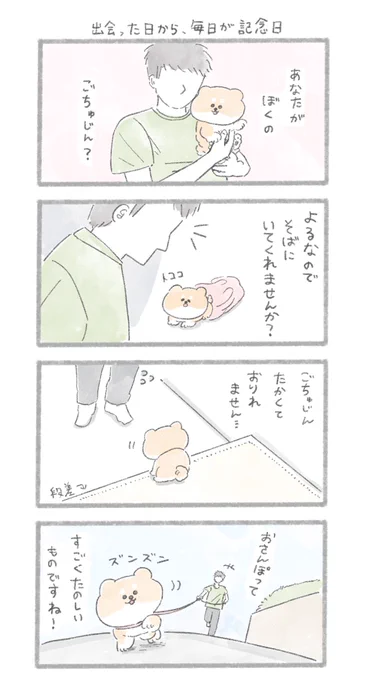 「出会った日から、毎日が記念日」
#こんにちはいぬ 
