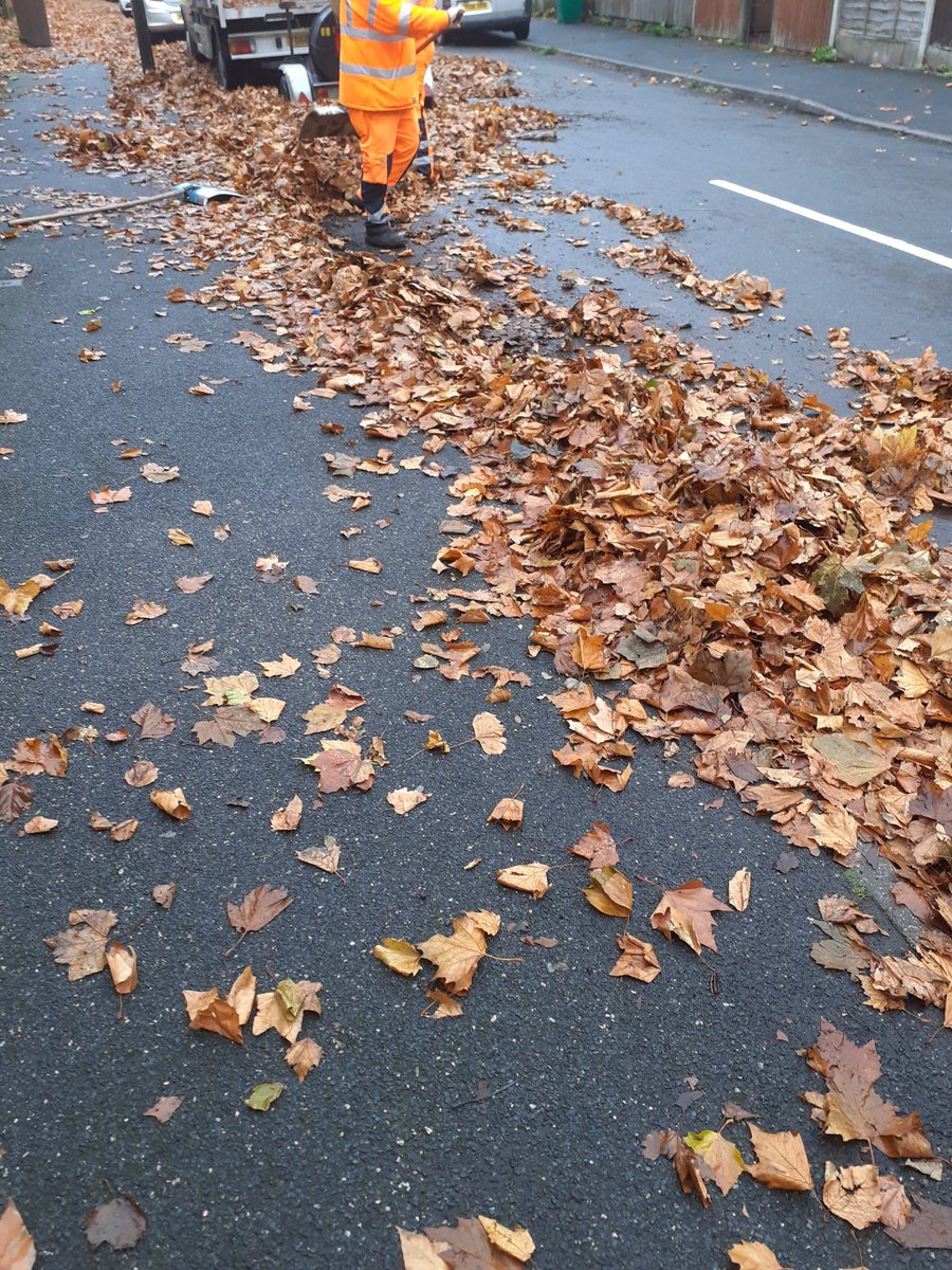 MeadowsPublicRealm tweet media