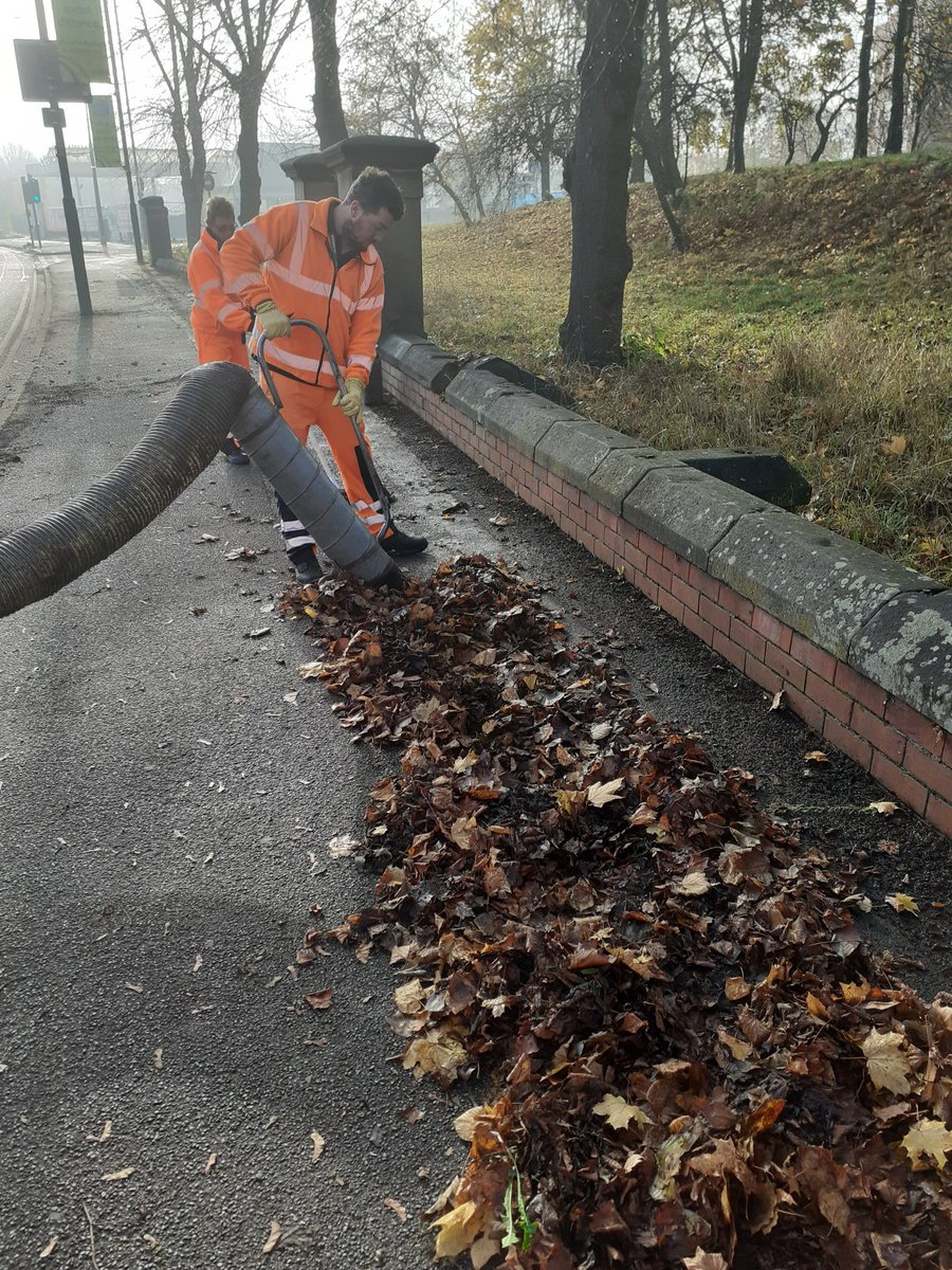 MeadowsPublicRealm tweet media