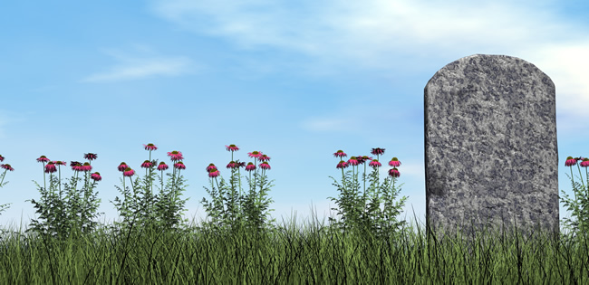 When you are arranging #funerals in Cwmbran, know how each stage makes a difference in the #funeralplanning process. Here at Arthur Peake Funeral directors, we understand that it can be a difficult time and having the support you need is key arthurpeakefunerals.co.uk/arrange-funera…