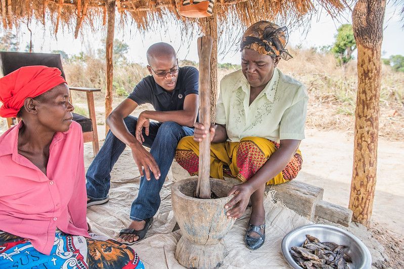 WorldFishCenter's tweet photo. In Malawi and Zambia, @WorldFishCenter's work with #ruralwomen supports children's health in the first #1000days of life by adding fish powder in local recipes. Learn more here: https://t.co/N5deeuyx1d #nutrition #health @CGIARnutrition @CGIARgender @CGIAR @IFAD @mcgillu https://t.co/e4DE5uFbNI