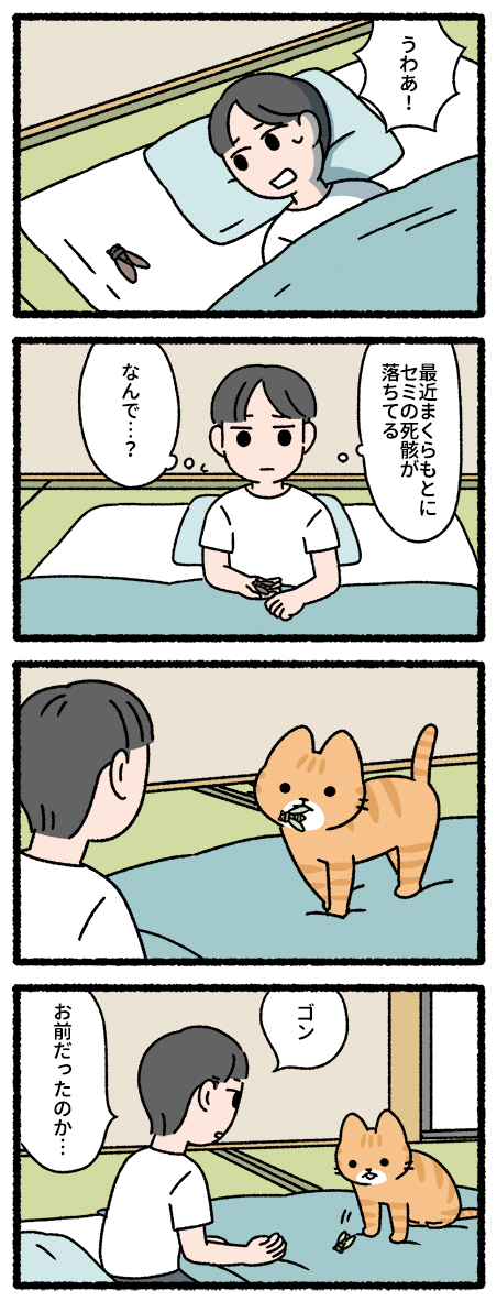 ごんぎつねな猫 #猫の昔話 