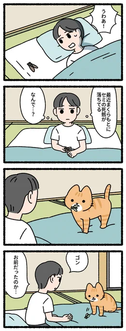 ごんぎつねな猫 #猫の昔話 