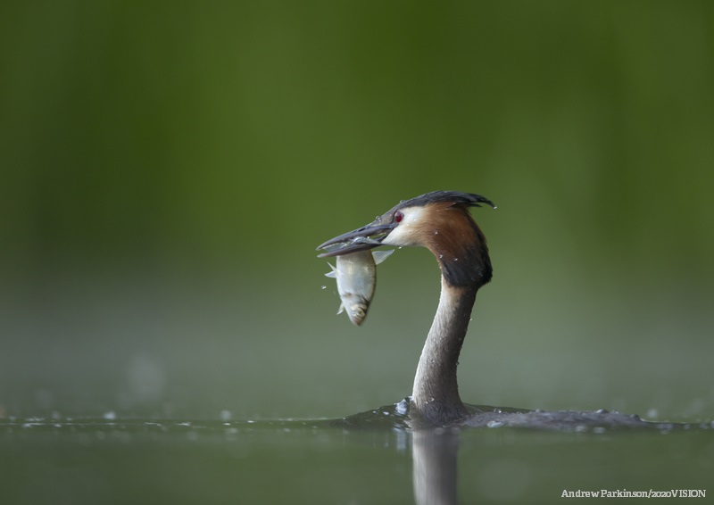 WildlifeTrusts's tweet photo. The climate crisis means that we are seeing more damage from flooding. Government must invest now in natural solutions. Bogs, moors, woodlands and wetlands act as giant sponges, absorbing water and slowing it down. Let's protect and rebuild these places. #FloodActionWeek 🌎💦 https://t.co/eMlQdBqJLq