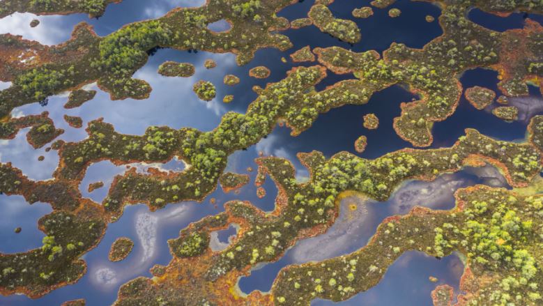 Four examples of how conserving, managing, and restoring these ecosystems #peatlands, #mangroves, #forests, #seagrass can contribute to both climate change mitigation and adaptation via <a href="/unepwcmc/">UNEP-WCMC</a> bit.ly/3eRTzeF