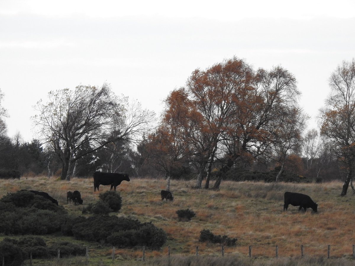 Plenty space for both, of course.