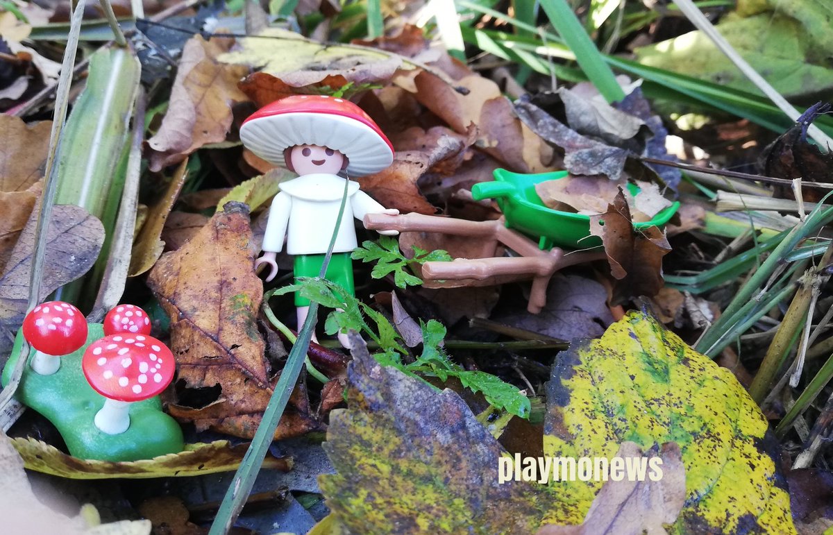 playmonews's tweet photo. We roepen iedereen massaal op om de blaadjes zoveel mogelijk te laten liggen. Het is de manier om je tuin te redden en je te wapenen voor de zomer van volgend jaar. We hebben net de warmste maar ook de droogste zomer achter de rug. #laatzeliggen https://t.co/kADPwYqZyK