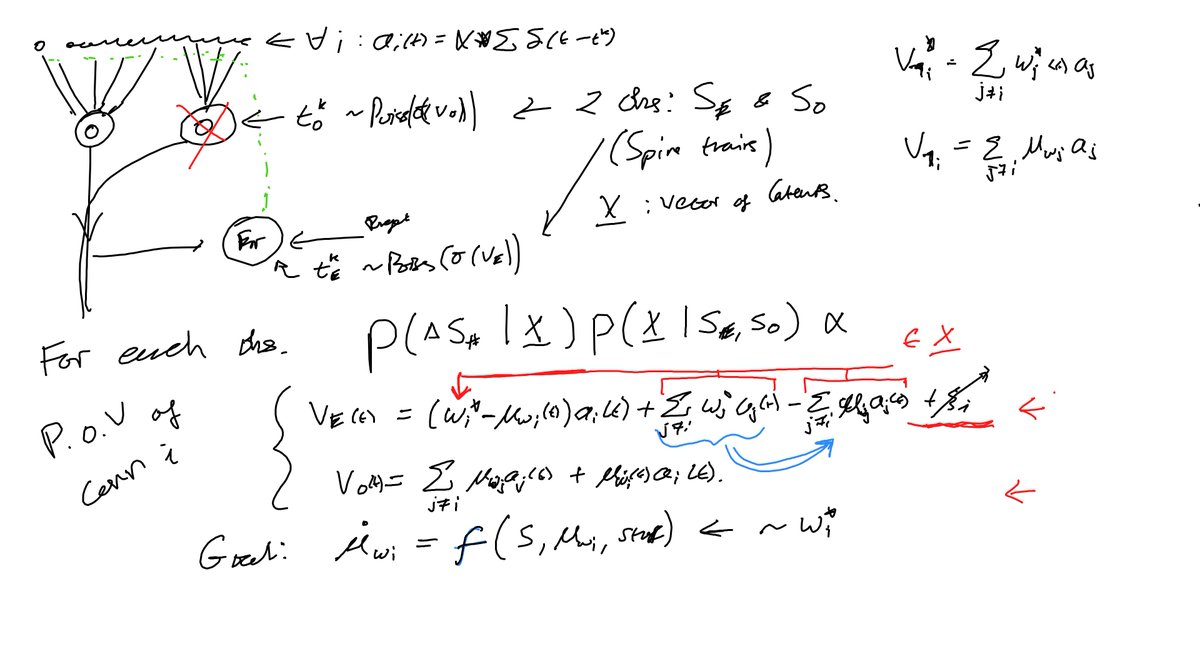 We write down some mathematical equations which (we hope) roughly capture this behaviour.Often these are some form of ordinary/partial differential equations: describing how quantities change in time, depending on other quantities. (this is an actual whiteboard of our musings)