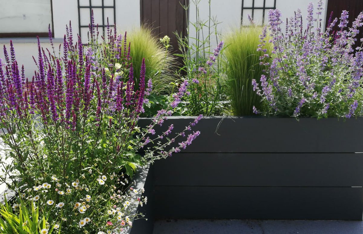 Stephanie Mahon tweet media