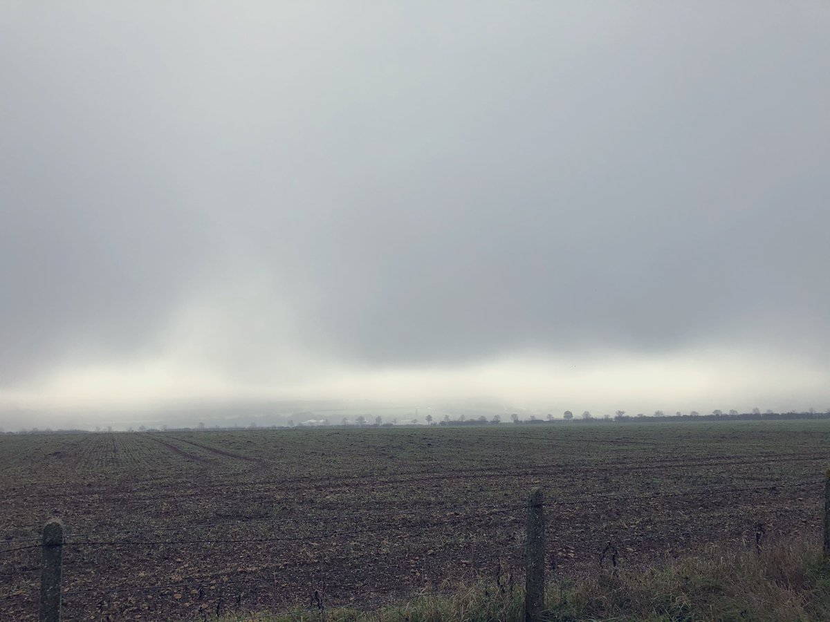 cdchater's tweet photo. A foggy morning but with a meadow pipit, yellowhammer and stonechat brightening up my walk 😊 #my200birdyear #119andcounting https://t.co/86njKc3oFO
