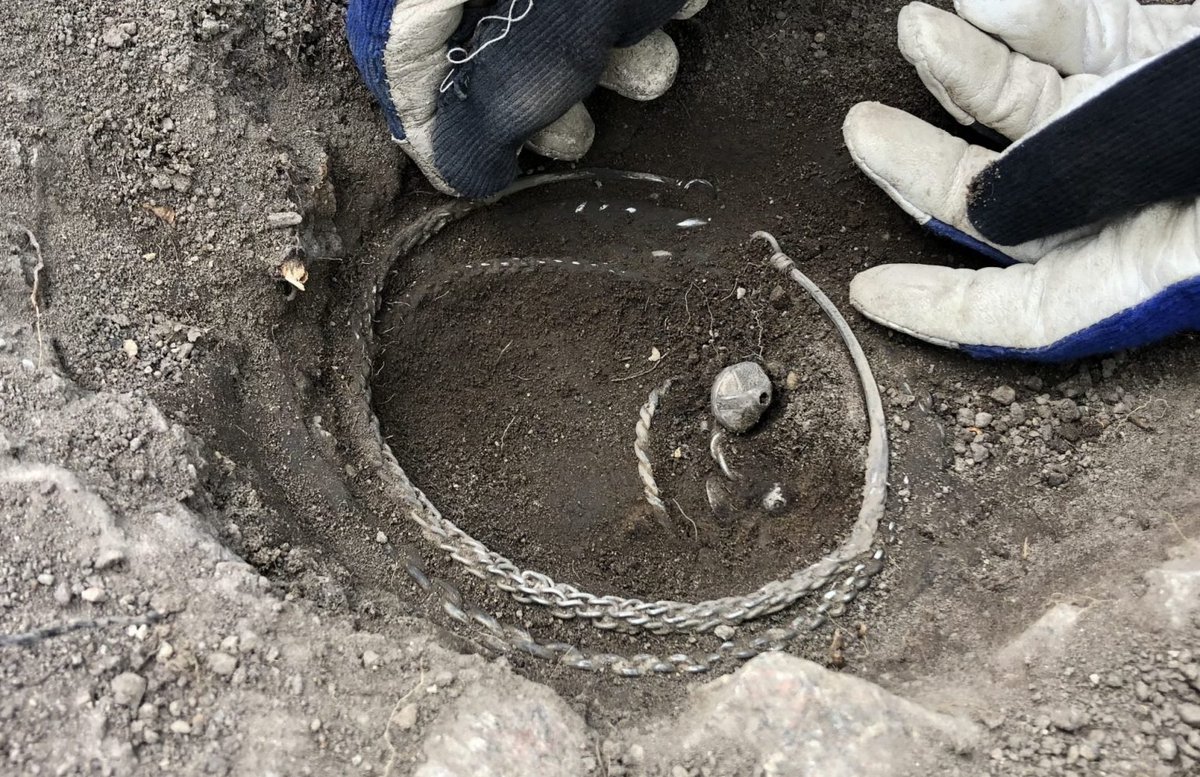 #Viking period (10-11th C) silver hoard recovered at Viggbyholm north of Stockholm - press release in 🇸🇪-ish, but lots of pics! 🥳

arkeologerna.com/vikingatida-si…