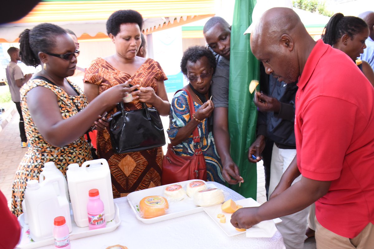 RwandaDairy's tweet photo. The best milk processors exhibitors were awarded for exhibiting the best milk products. https://t.co/XwKLT6wrf8