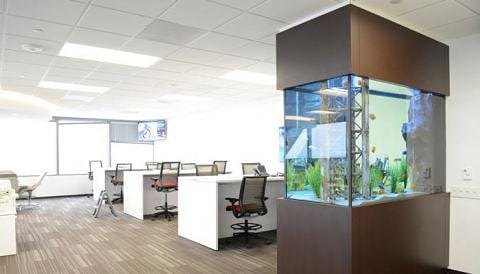 MadeforMarine's tweet photo. MadeforMarine presents luxury customised  aquariums in India. ""Bring Positivity to your home with Vaastu oriented aquarium""
#aquariumfans #aquariumtank #interiordesigning #aquariumdesign #tropicalfishtank  #aquariumphotography #innovation #interiordesigns #interiordecoration https://t.co/FiAhbc7rNc