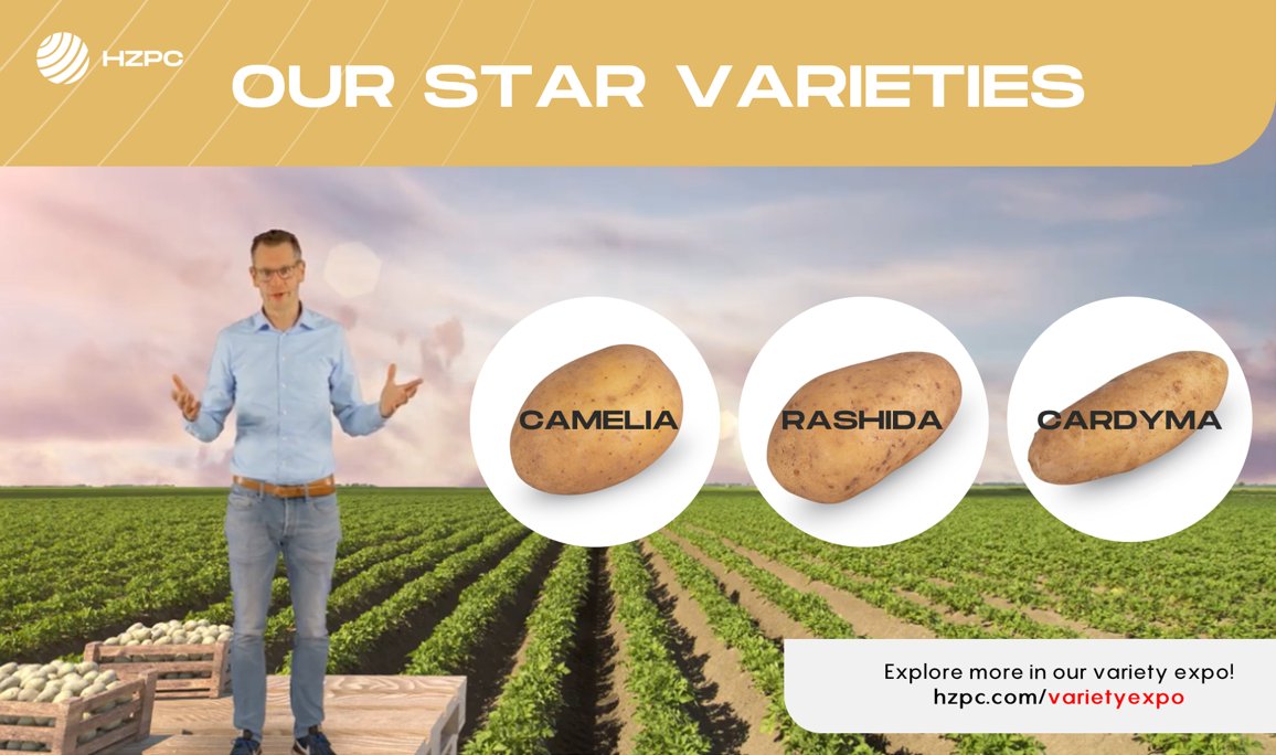 HZPC's tweet photo. During Potato Days 2020 Live, breeder Peter Vos presented 3 of our rising stars; Camelia, Rashida and Cardyma. 
But there’s more to explore! Visit our variety expo to see his full presentation and meet other great HZPC varieties. 
➡️ https://t.co/ioRNlGRxBB https://t.co/APv66CBkka