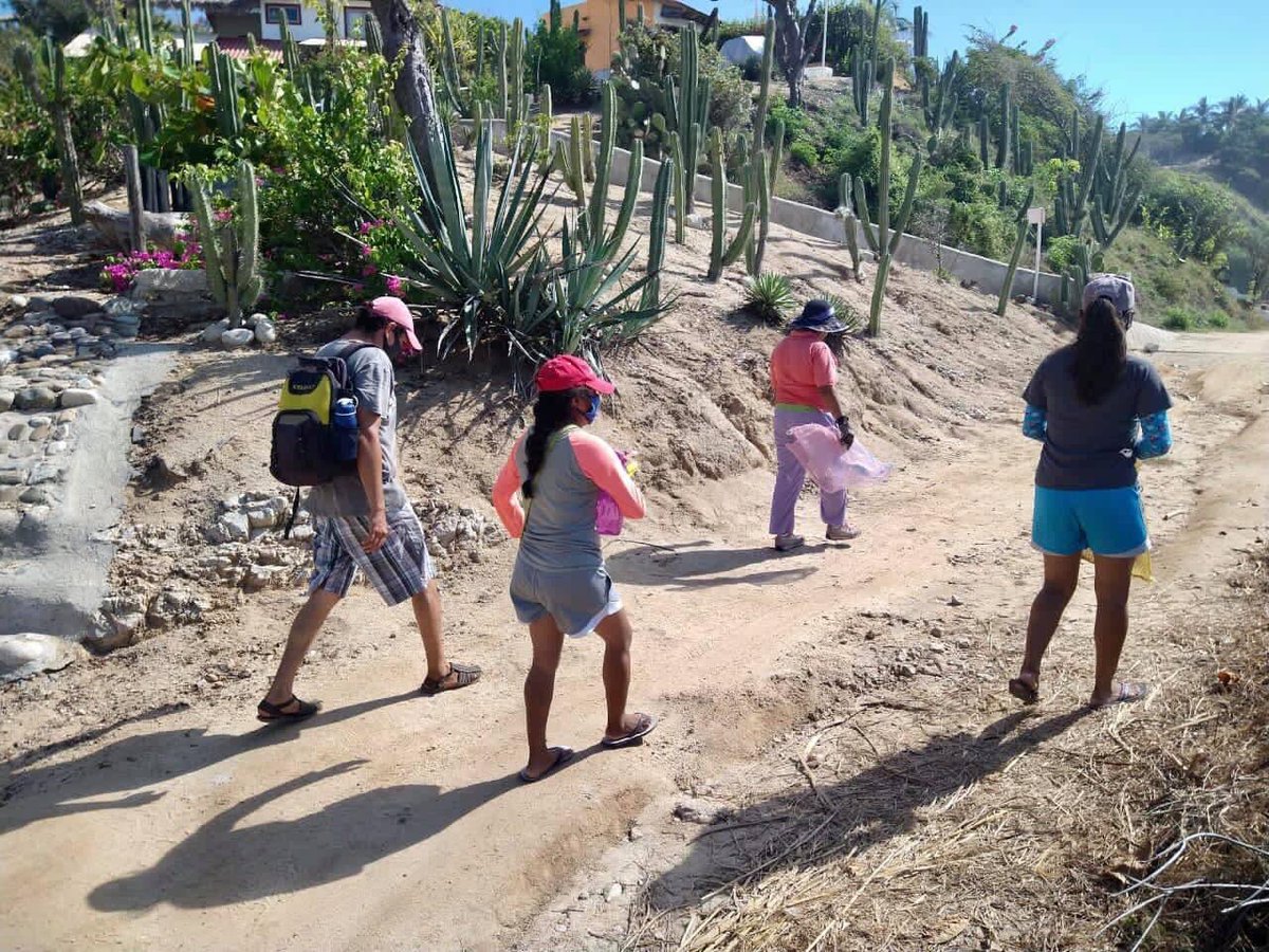 PochutlaGobMpal's tweet photo. Se llevó a cabo la Limpieza de la Bahía de Salchi y #Cuatunalco por parte del Área de Sustentabilidad en coordinación con la comunidad, estas limpiezas son muy importantes ya que nos permiten generar conciencia sobre la importancia de nuestro ecosistema. #SanPedroPochutla #Oaxaca https://t.co/x225CqbIPH