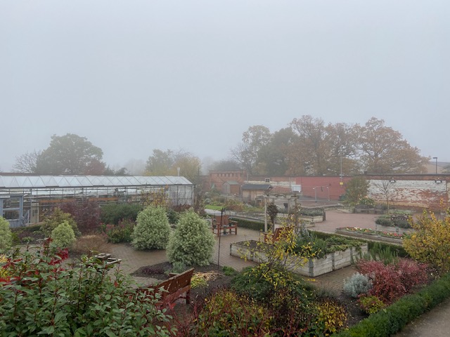 Our beautiful Walled Garden remains open to the public. We've followed Covid guidelines to ensure your visit is a safe one. Our café is open for takeaway too. #doncasterisgreat #rdash_nhs