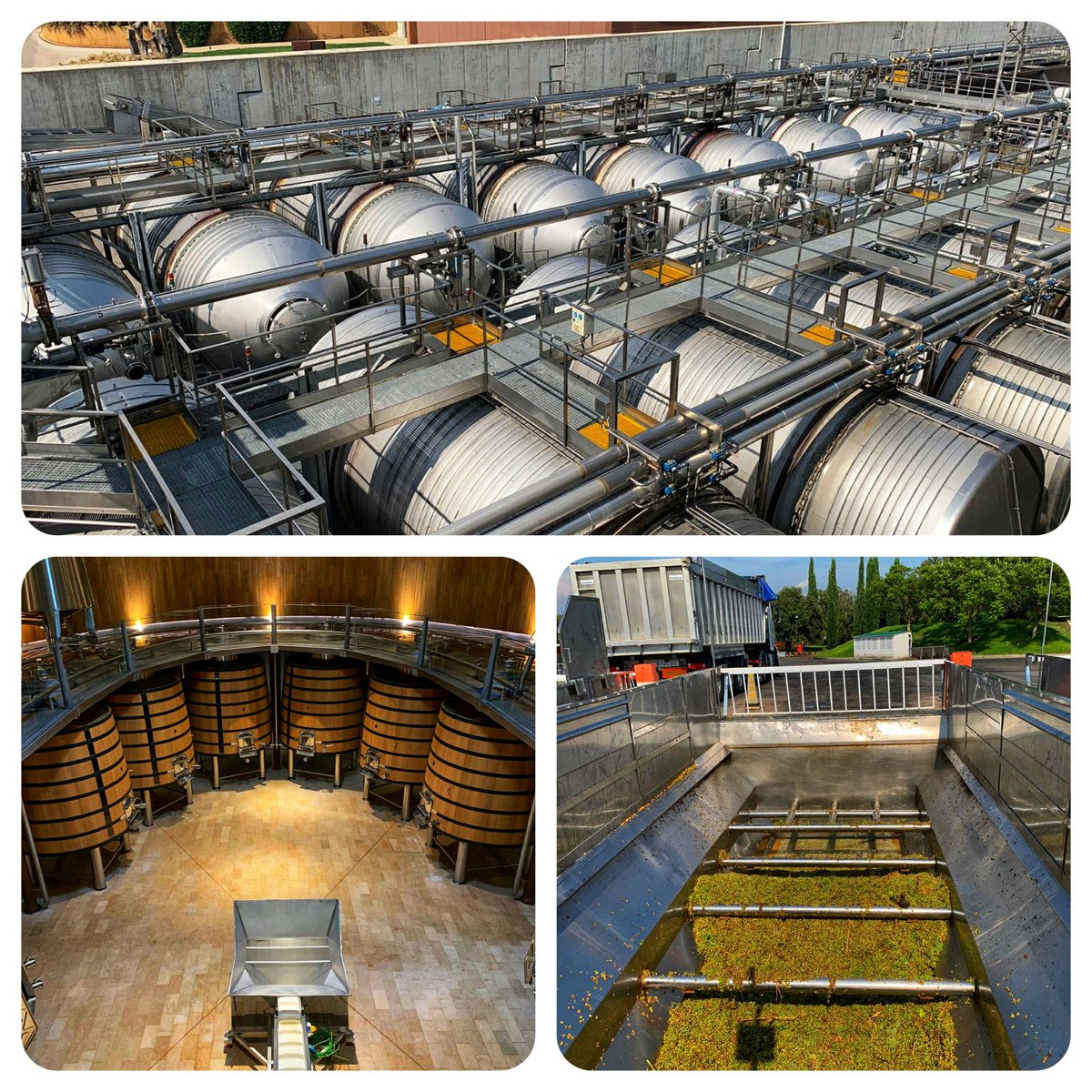 Continuamos con diferentes actuaciones en uno de nuestros clientes más importantes, referente en el sector vitivinícola, con un servicio completo en nuevos proyectos, mantenimientos correctivos o preventivos, y reglamentación
#vitivinicola #refrigeration #wine #refrigeracion